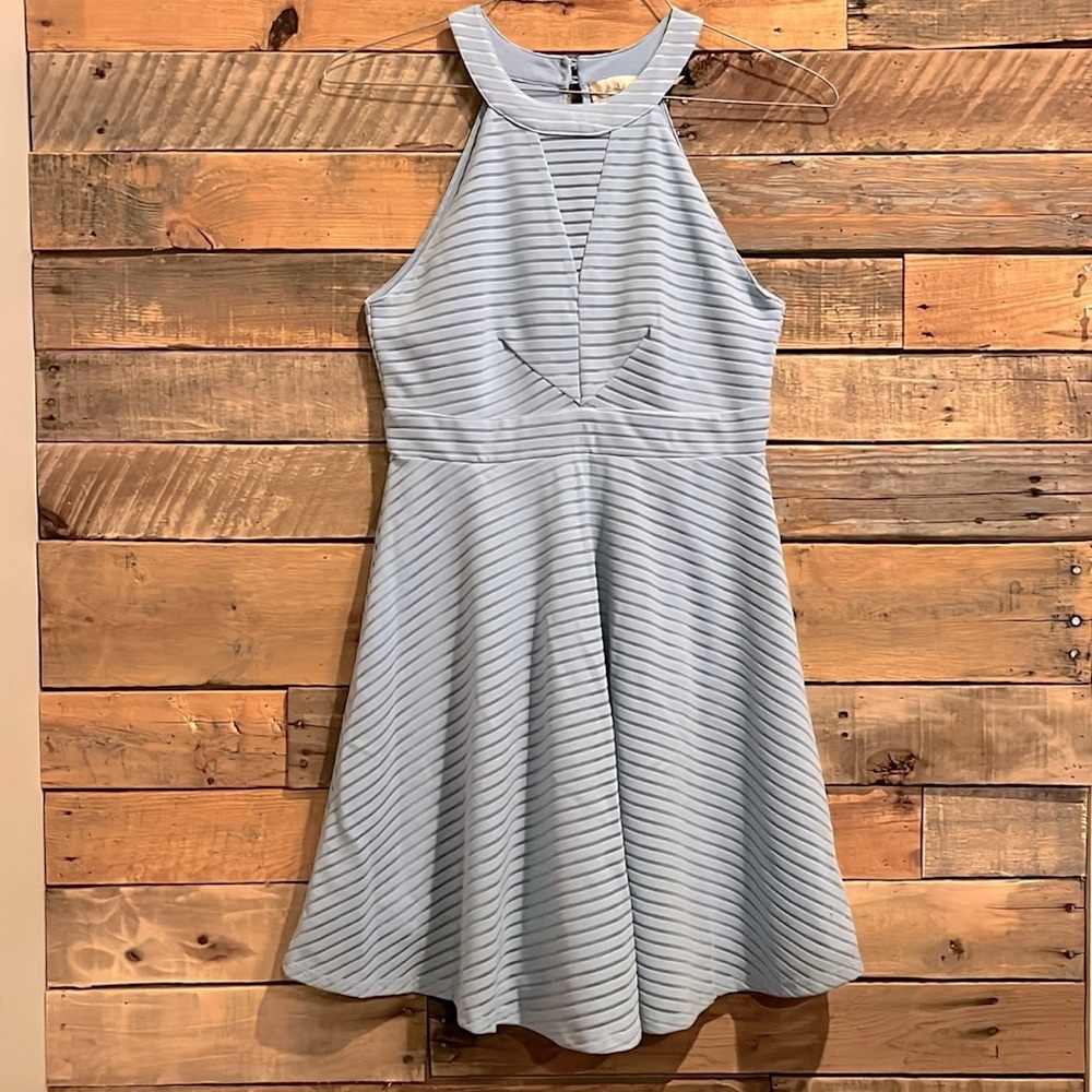 Blue dress stripes sleeveless Altar’d State